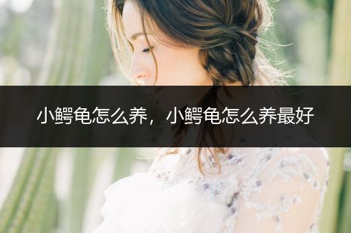 小鱷龜怎么養(yǎng)，小鱷龜怎么養(yǎng)最好