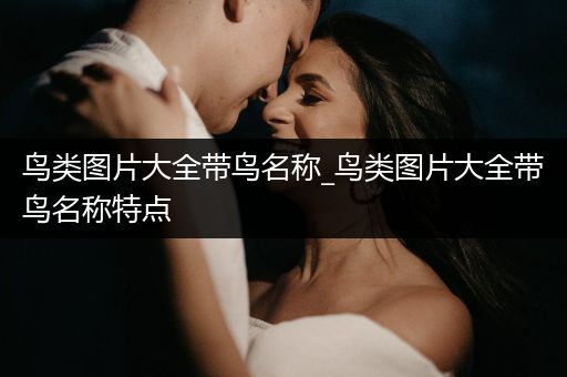 鳥類圖片大全帶鳥名稱_鳥類圖片大全帶鳥名稱特點