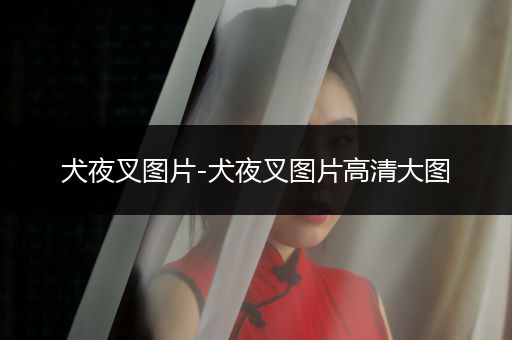 犬夜叉圖片-犬夜叉圖片高清大圖