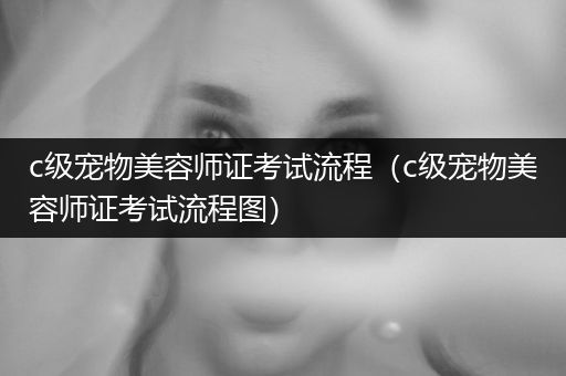 c級寵物美容師證考試流程（c級寵物美容師證考試流程圖）
