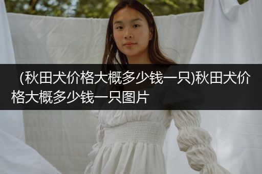 （秋田犬價格大概多少錢一只)秋田犬價格大概多少錢一只圖片