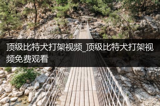 頂級比特犬打架視頻_頂級比特犬打架視頻免費觀看