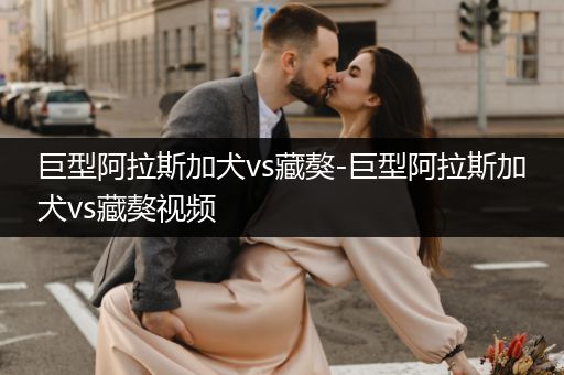 巨型阿拉斯加犬vs藏獒-巨型阿拉斯加犬vs藏獒視頻