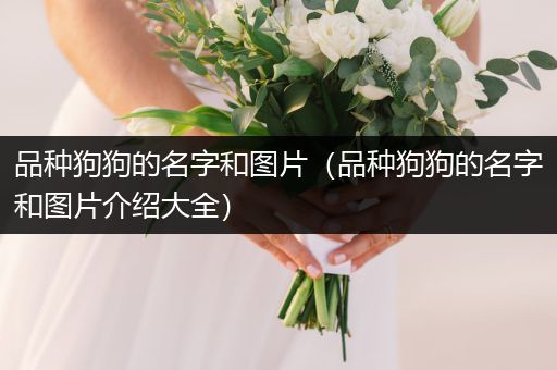 品種狗狗的名字和圖片（品種狗狗的名字和圖片介紹大全）