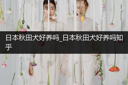 日本秋田犬好養(yǎng)嗎_日本秋田犬好養(yǎng)嗎知乎