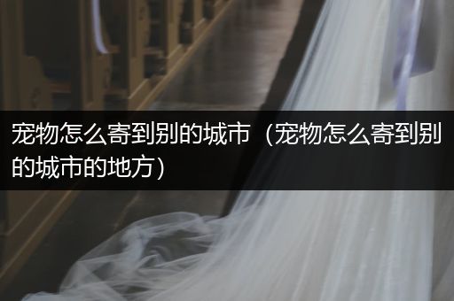 寵物怎么寄到別的城市（寵物怎么寄到別的城市的地方）