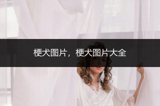 梗犬圖片，梗犬圖片大全