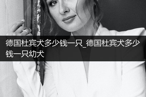 德國杜賓犬多少錢一只_德國杜賓犬多少錢一只幼犬
