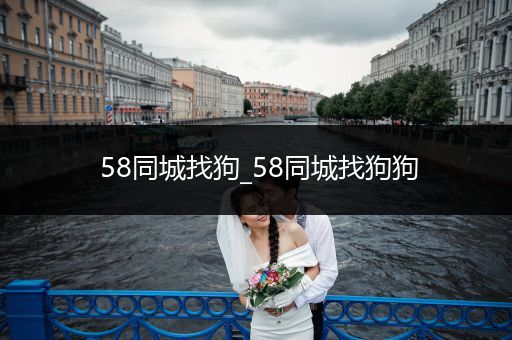 58同城找狗_58同城找狗狗
