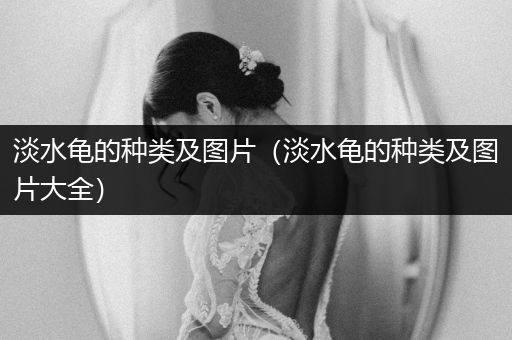 淡水龜?shù)姆N類(lèi)及圖片（淡水龜?shù)姆N類(lèi)及圖片大全）