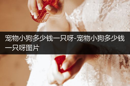 寵物小狗多少錢一只呀-寵物小狗多少錢一只呀圖片