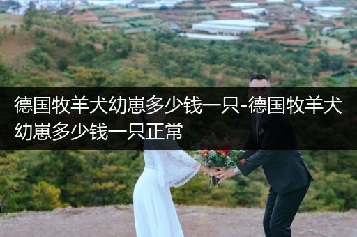 德國(guó)牧羊犬幼崽多少錢(qián)一只-德國(guó)牧羊犬幼崽多少錢(qián)一只正常