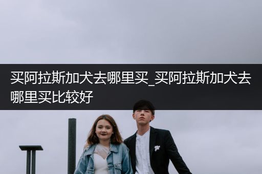 買阿拉斯加犬去哪里買_買阿拉斯加犬去哪里買比較好