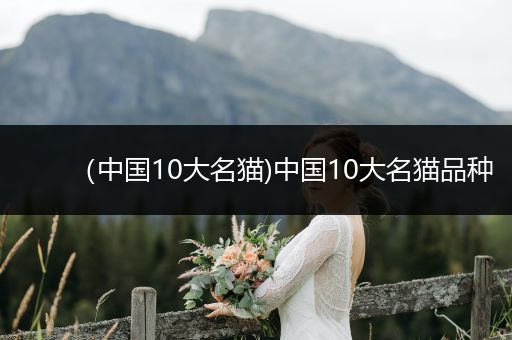 (中國(guó)10大名貓)中國(guó)10大名貓品種
