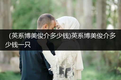 （英系博美俊介多少錢)英系博美俊介多少錢一只