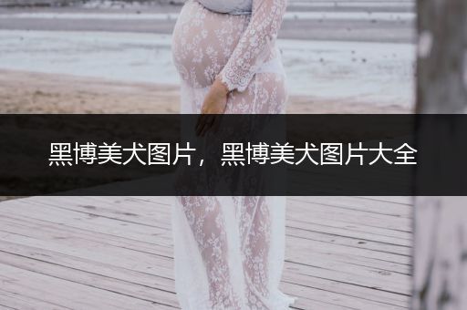 黑博美犬圖片，黑博美犬圖片大全