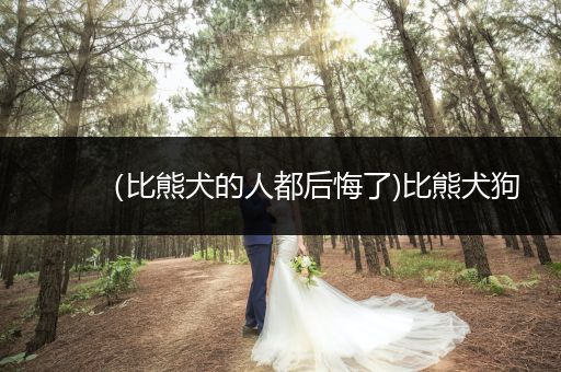 （比熊犬的人都后悔了)比熊犬狗