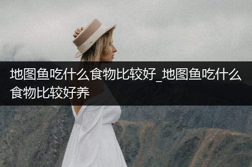 地圖魚吃什么食物比較好_地圖魚吃什么食物比較好養(yǎng)