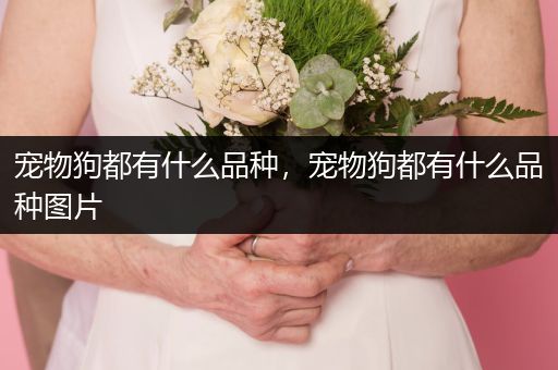 寵物狗都有什么品種，寵物狗都有什么品種圖片