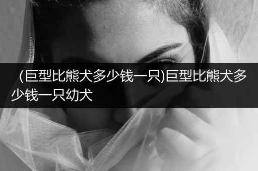 （巨型比熊犬多少錢一只)巨型比熊犬多少錢一只幼犬