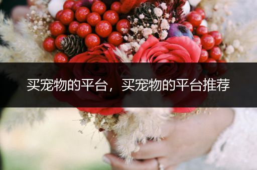 買寵物的平臺(tái)，買寵物的平臺(tái)推薦