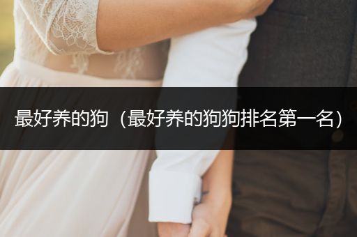 最好養(yǎng)的狗（最好養(yǎng)的狗狗排名第一名）