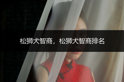 松獅犬智商，松獅犬智商排名