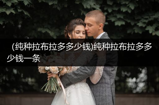 （純種拉布拉多多少錢)純種拉布拉多多少錢一條