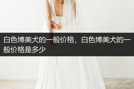 白色博美犬的一般價(jià)格，白色博美犬的一般價(jià)格是多少
