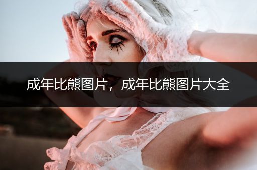 成年比熊圖片，成年比熊圖片大全