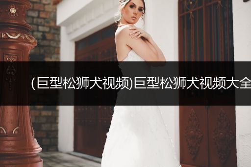（巨型松獅犬視頻)巨型松獅犬視頻大全