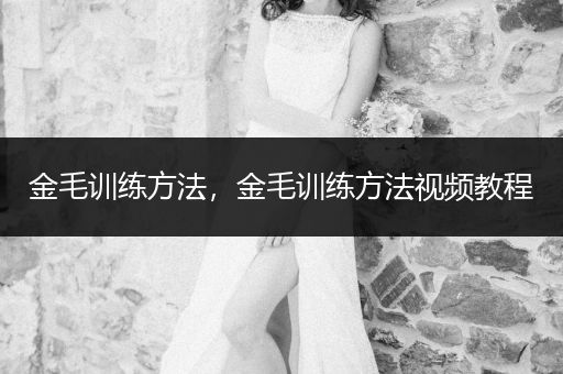 金毛訓(xùn)練方法，金毛訓(xùn)練方法視頻教程