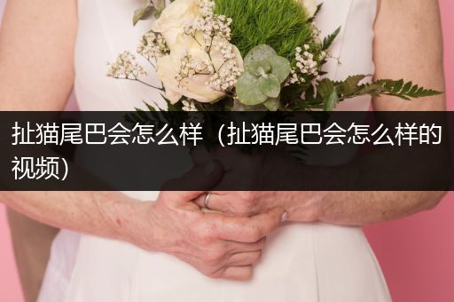 扯貓尾巴會怎么樣（扯貓尾巴會怎么樣的視頻）