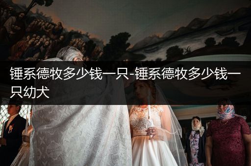 錘系德牧多少錢一只-錘系德牧多少錢一只幼犬