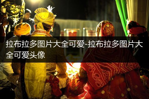 拉布拉多圖片大全可愛(ài)-拉布拉多圖片大全可愛(ài)頭像