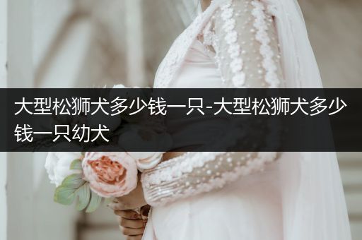 大型松獅犬多少錢一只-大型松獅犬多少錢一只幼犬