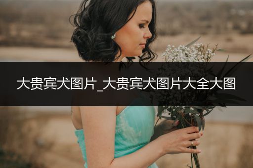 大貴賓犬圖片_大貴賓犬圖片大全大圖