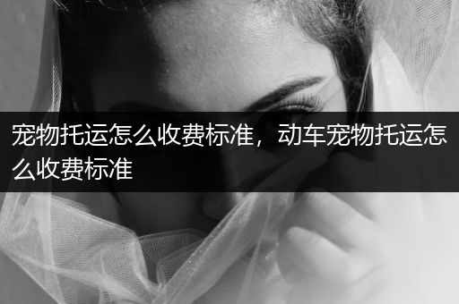 寵物托運(yùn)怎么收費(fèi)標(biāo)準(zhǔn)，動(dòng)車寵物托運(yùn)怎么收費(fèi)標(biāo)準(zhǔn)
