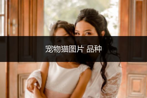 寵物貓圖片 品種