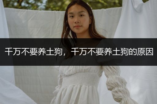 千萬不要養(yǎng)土狗，千萬不要養(yǎng)土狗的原因