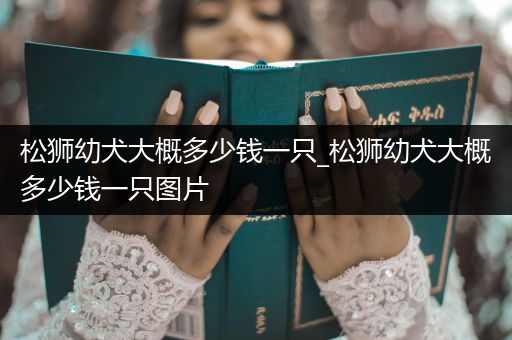 松獅幼犬大概多少錢一只_松獅幼犬大概多少錢一只圖片