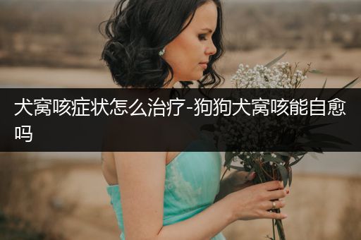 犬窩咳癥狀怎么治療-狗狗犬窩咳能自愈嗎
