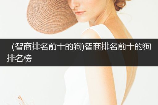 （智商排名前十的狗)智商排名前十的狗排名榜