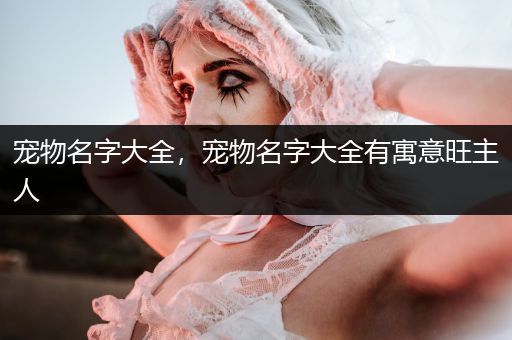 寵物名字大全，寵物名字大全有寓意旺主人