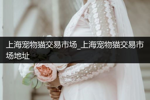 上海寵物貓交易市場_上海寵物貓交易市場地址