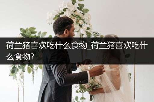 荷蘭豬喜歡吃什么食物_荷蘭豬喜歡吃什么食物?