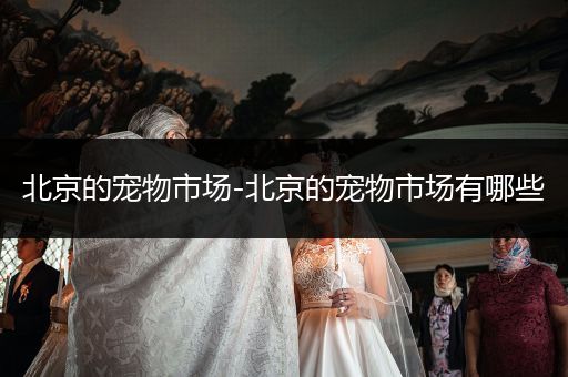 北京的寵物市場-北京的寵物市場有哪些