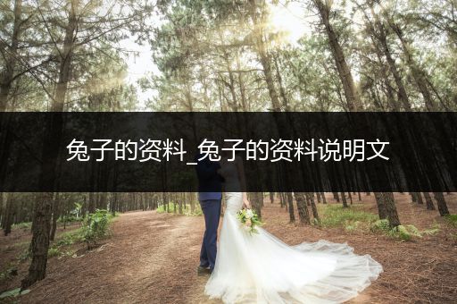 兔子的資料_兔子的資料說明文