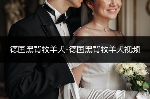 德國黑背牧羊犬-德國黑背牧羊犬視頻