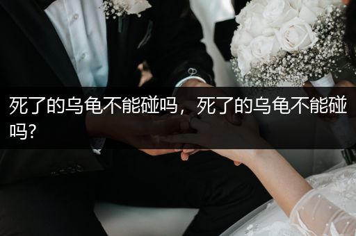 死了的烏龜不能碰嗎，死了的烏龜不能碰嗎?